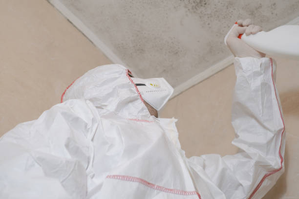 Best Local Mold Removal Service  in Endwell, NY